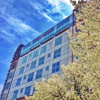 Gilman Library Campus Life – About Our University