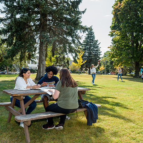 Three students sit at a picnic table and study together, with a group playing football in the background.
