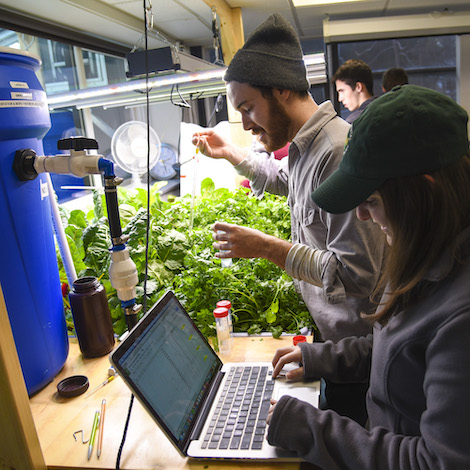 A group of students works together in the aquaponics lab.