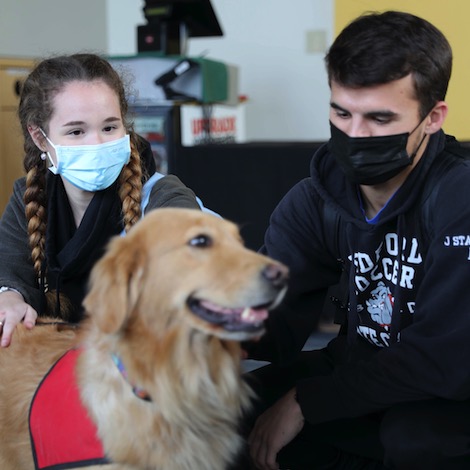 Two students wearing masks pet a service dog.