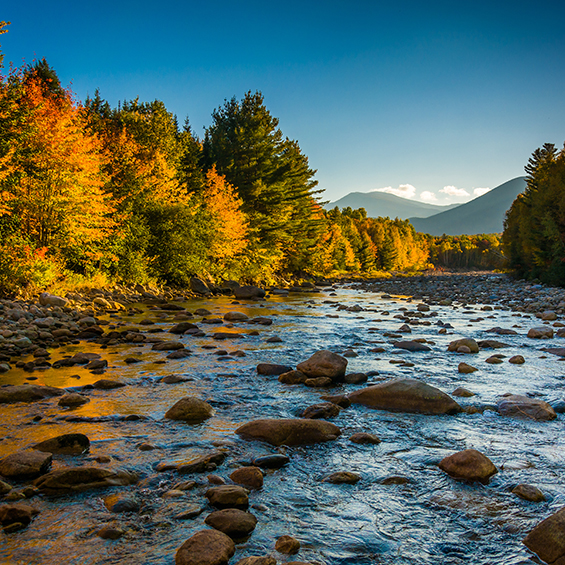 A rocky river with mountains in the background and, bordered by tree with autumn-colored leaves.