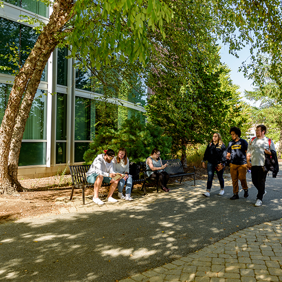Groups of students walk or sit outside of the Portland campus Science Building.
