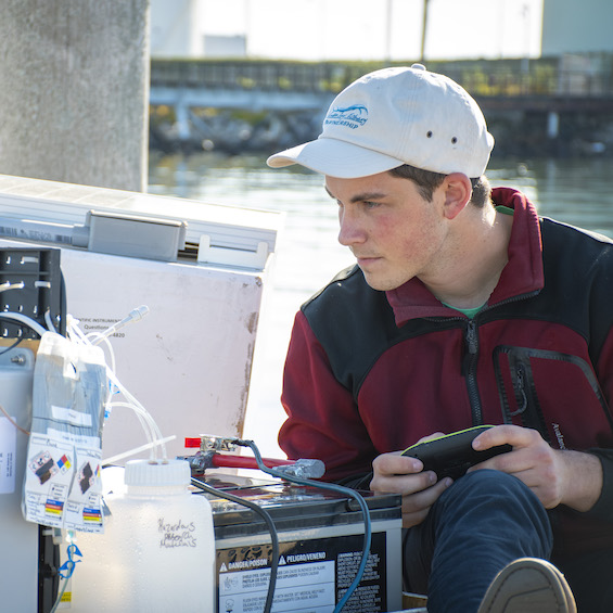 A student checks on an experiment, on a boat in Casco Bay.