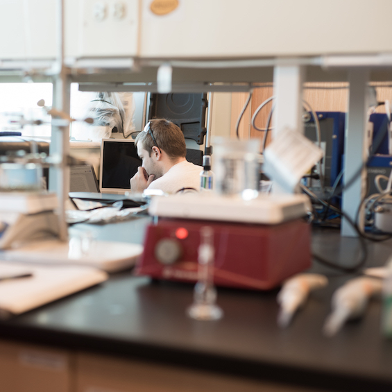 A student sits at a desk in a lab, studying test results.