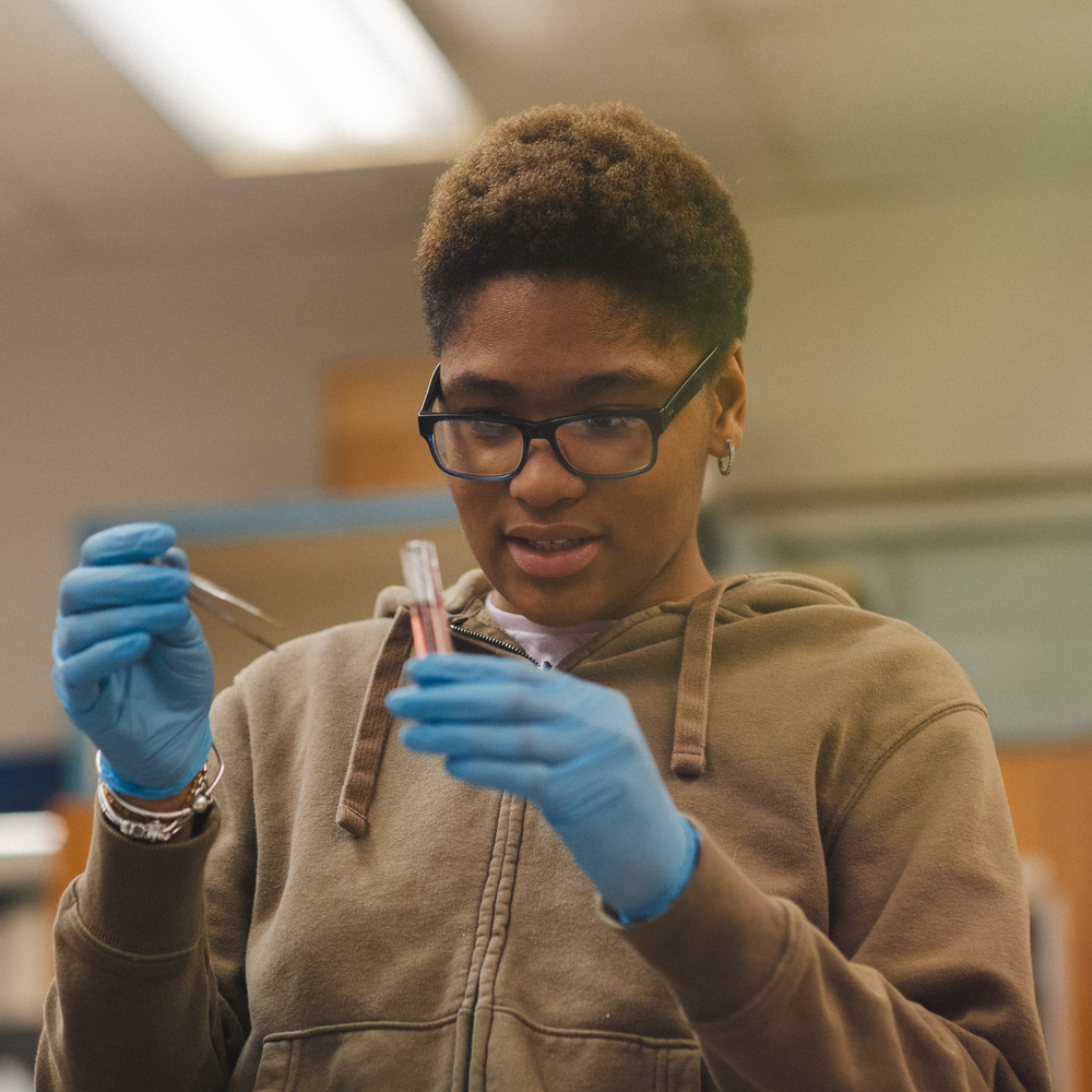 Students in the Philosophy and Polymath Pathway gain both a scientific foundation and the skills needed to think critically.