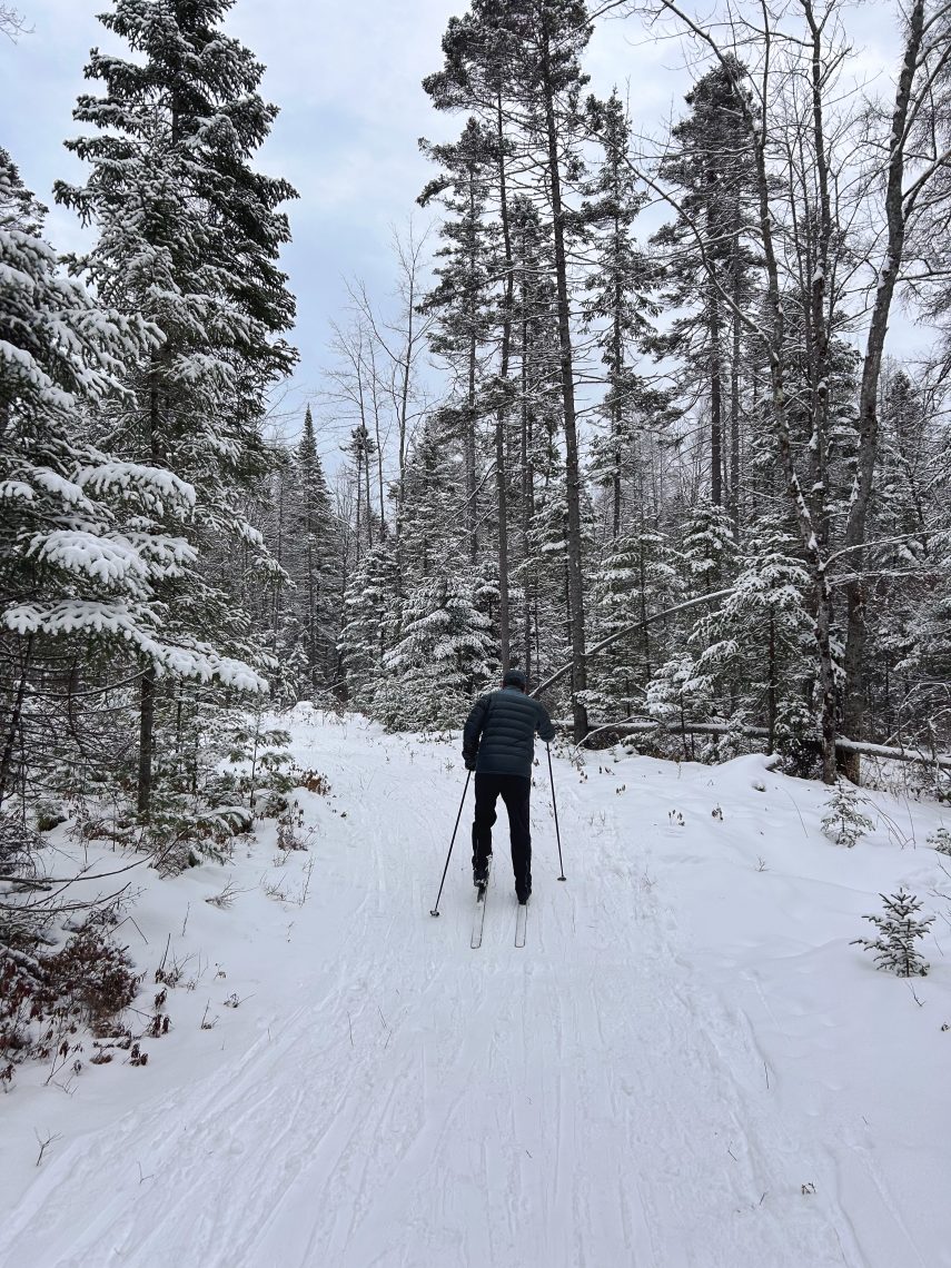 Cross country skiing through snowy pine trees in Maine
