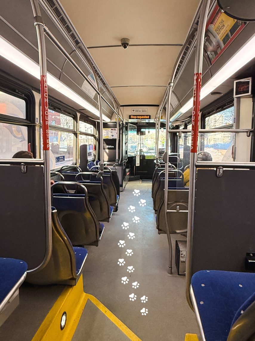 Interior of USM's Husky Line bus shows the bus aisle with bus seats on either sides. Animated paw prints coming down the aisle.