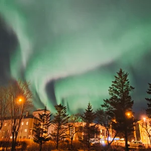 Northern lights (aurora borealis) glowing above Reykjavik, Iceland, photographed by USM Fulbright scholar Emma