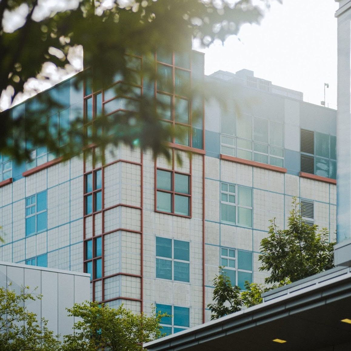 University of Southern Maine’s Portland campus library viewed through tree branches, with the building partially framed by foliage.