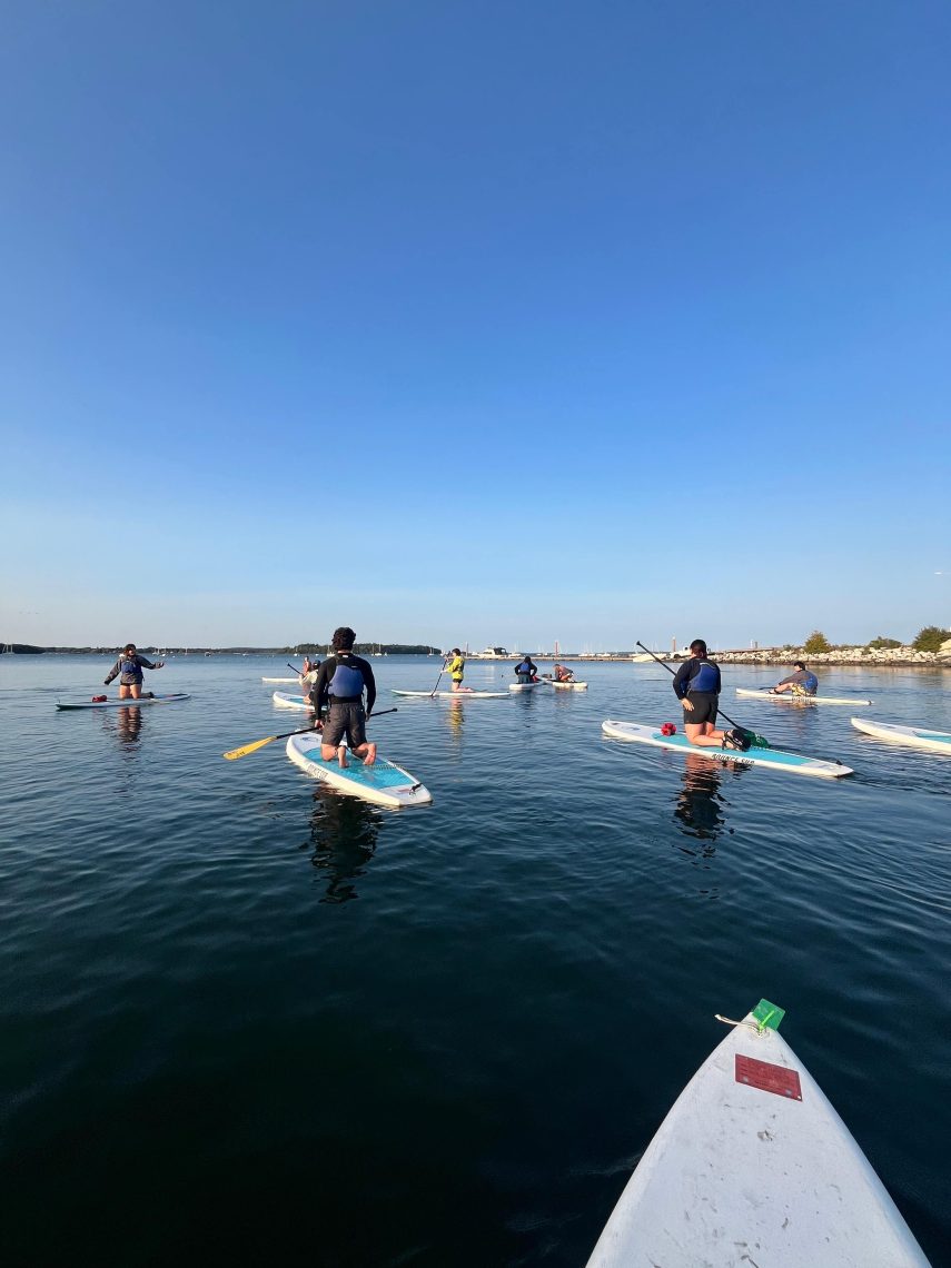 A group of USM students paddleboard across calm coastal waters on a clear blue-sky day, with a marina and rocky shoreline in the distance.