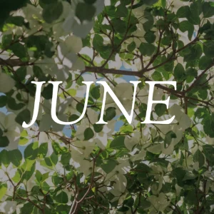 The word "JUNE" in white text overlaid on tree branches with green and white flowering blossoms against a blue sky
