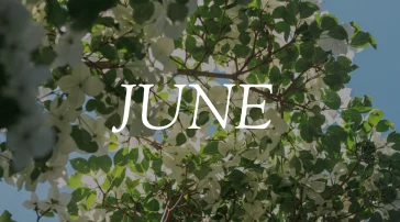 The word "JUNE" in white text overlaid on tree branches with green and white flowering blossoms against a blue sky