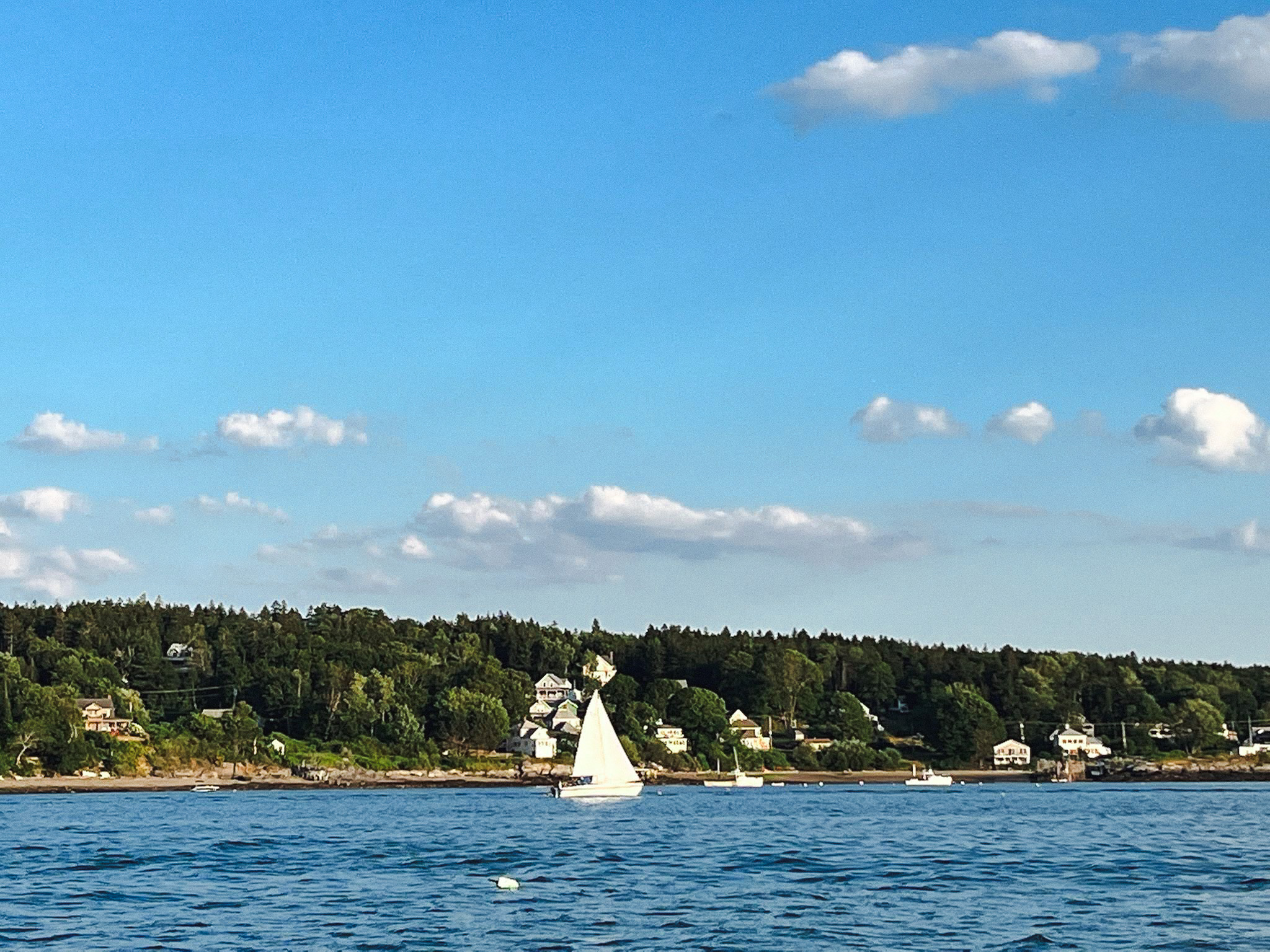 A sailboat on Casco Bay with a forested coastline and waterfront homes in the background, Maine