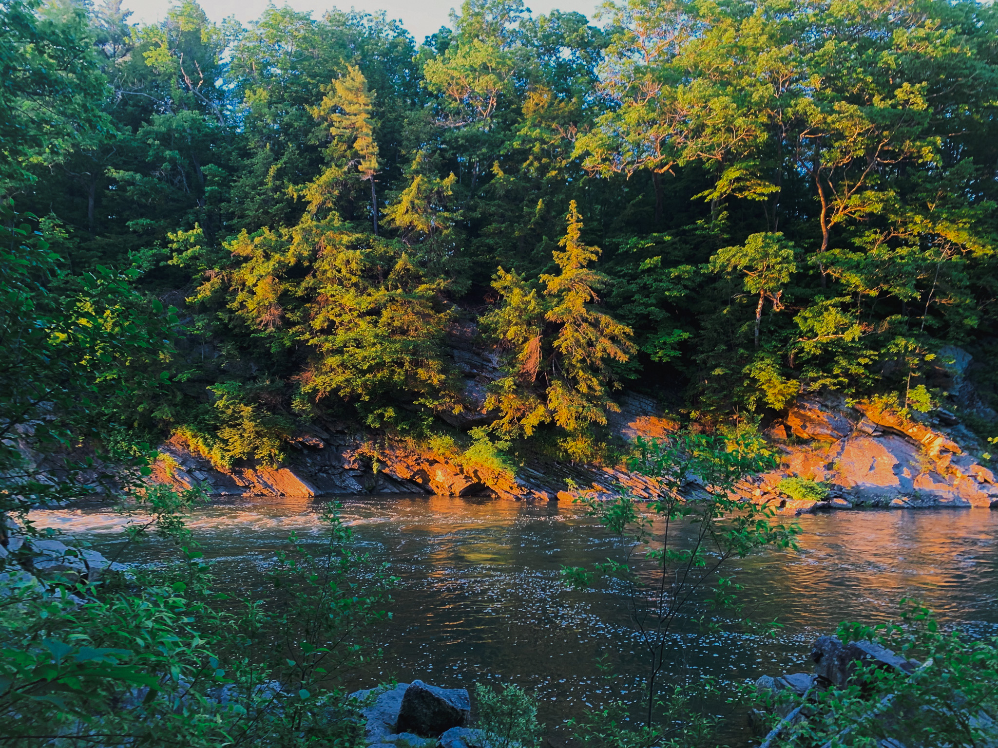 Rocky cliffs and dense forest along the Presumpscot River at golden hour in Southern Maine