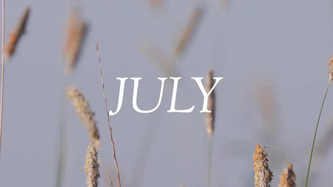 The word "JULY" in white text overlaid on marsh grasses with golden seed heads against a hazy blue-gray sky