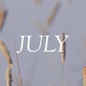 The word "JULY" in white text overlaid on marsh grasses with golden seed heads against a hazy blue-gray sky