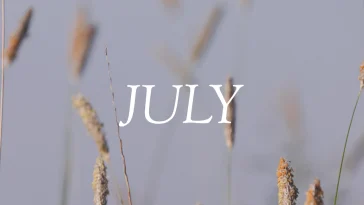 The word "JULY" in white text overlaid on marsh grasses with golden seed heads against a hazy blue-gray sky