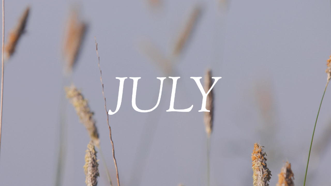 The word "JULY" in white text overlaid on marsh grasses with golden seed heads against a hazy blue-gray sky