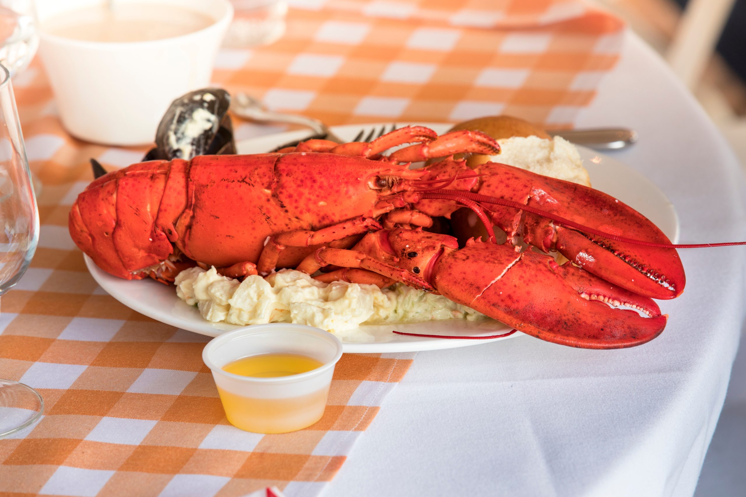 Maine lobster dinner featuring a whole red lobster with claws, served with coleslaw, melted butter, and sides on a picnic-style tablecloth