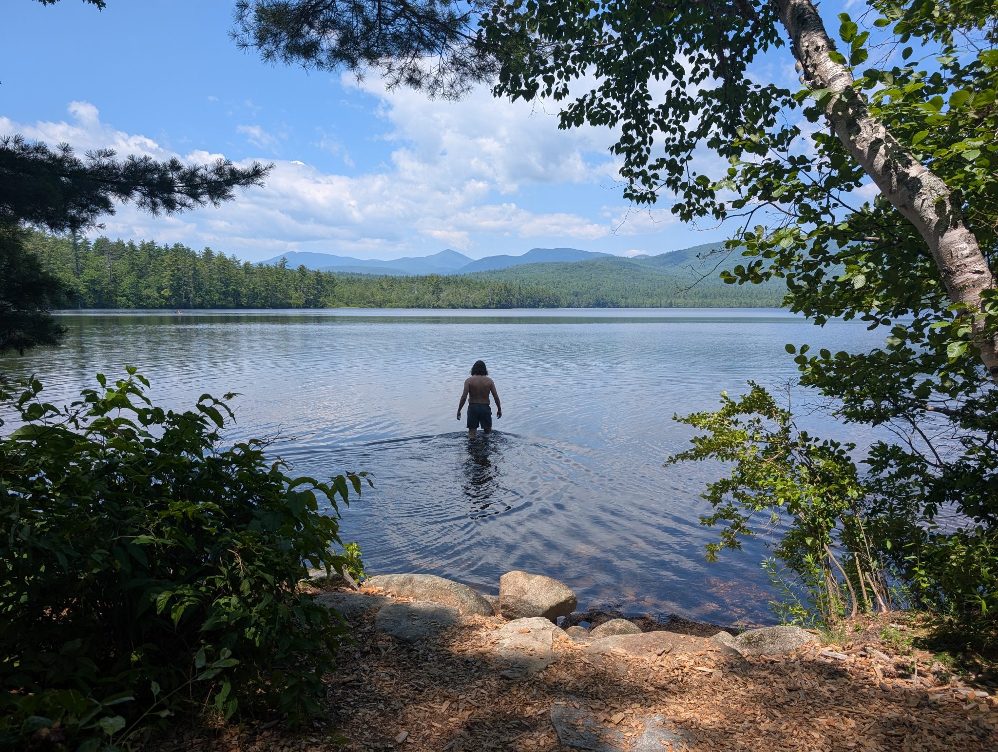 Calvin Soule wades into Chocorua Lake in New Hampshire, framed by trees in the foreground, with a dense forest and the White Mountains visible across the water under a partly cloudy sky.