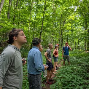 Green Curtain Roadshow participants look up into the forest canopy during a guided hike through Vermont's Green Mountain National Forest.