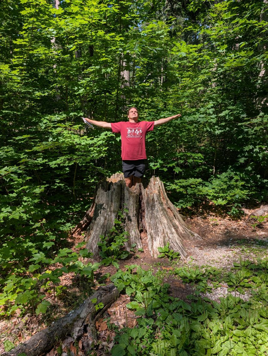 Calvin Soule stands atop a large old-growth tree stump with his arms outstretched, surrounded by dense green forest.