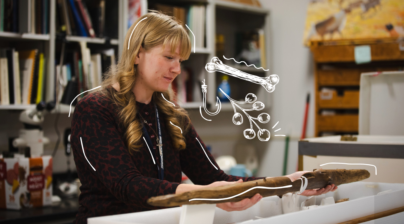 Camdyn Johnson holds an ancient wooden fish weir stake in the Maine State Museum's collections building, with illustrated icons of a bone, fishing hook, and berries layered over the photo.