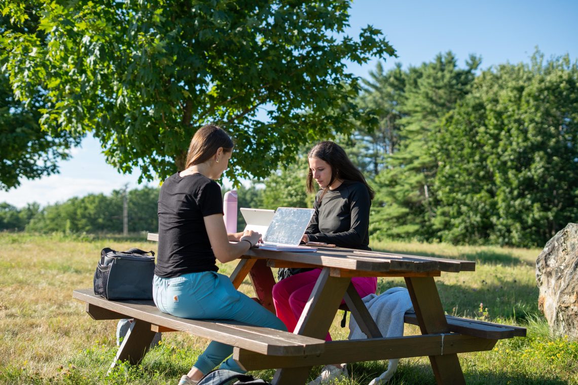 Two students sit at a wooden picnic table under a tree, working on laptops together outdoors.