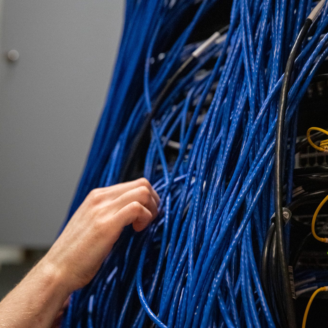 A hand reaches into a rack of ethernet cables in the Crewe Center's network infrastructure, part of the building's Dante audio system.