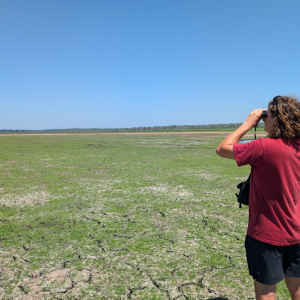Calvin Soule looks through binoculars across Collins Marsh in Wisconsin on a clear, sunny day, with a vast expanse of wetland and cracked dry earth stretching toward a tree line in the distance.