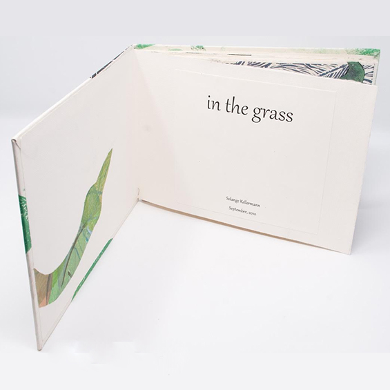 Artist's Book, Title Page, In the Grass, by Solange Kellerman