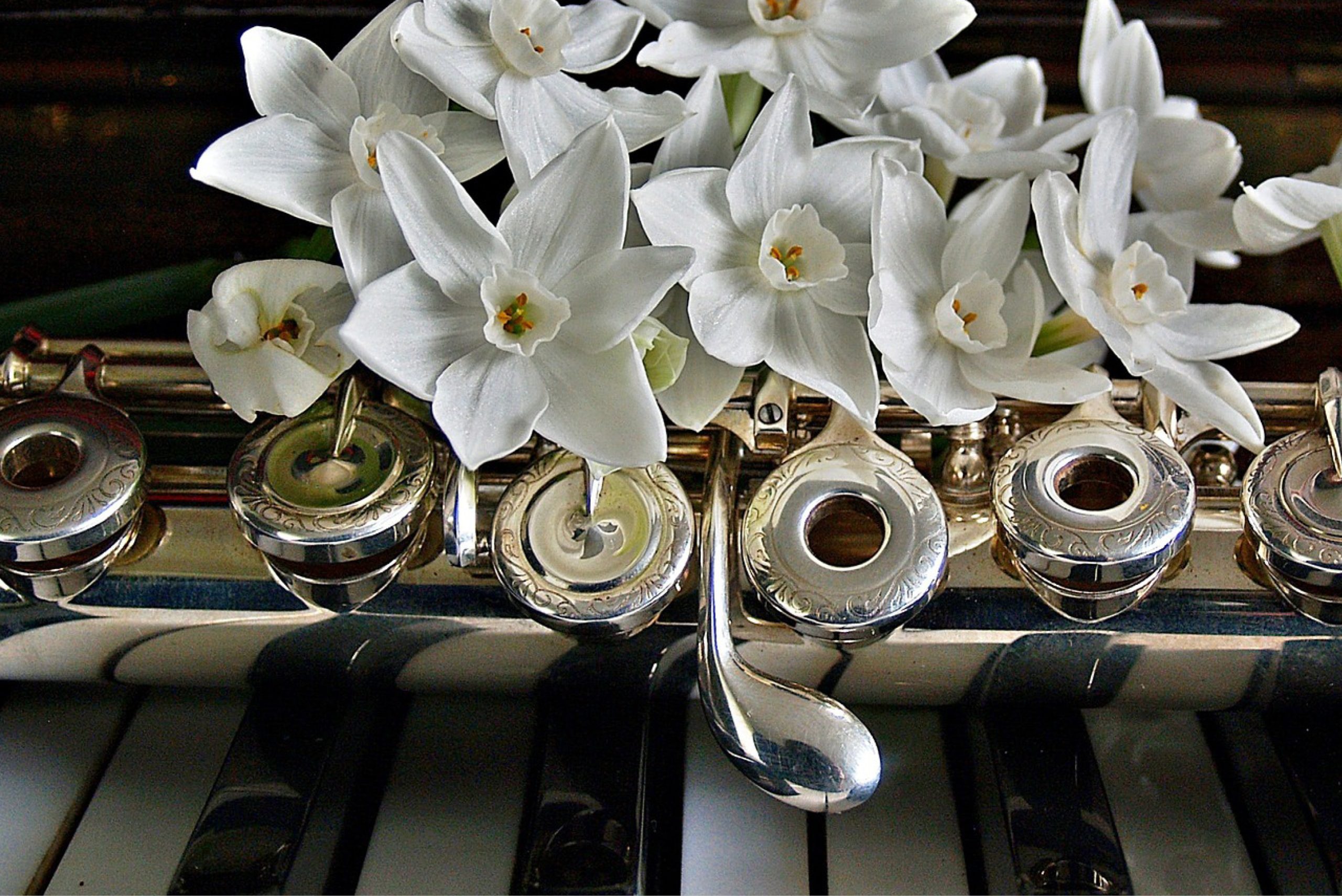 White flowers, flute and keyboard