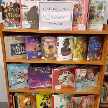 A bookshelf display of a variety of children's books and a sign to "check out the new collection."