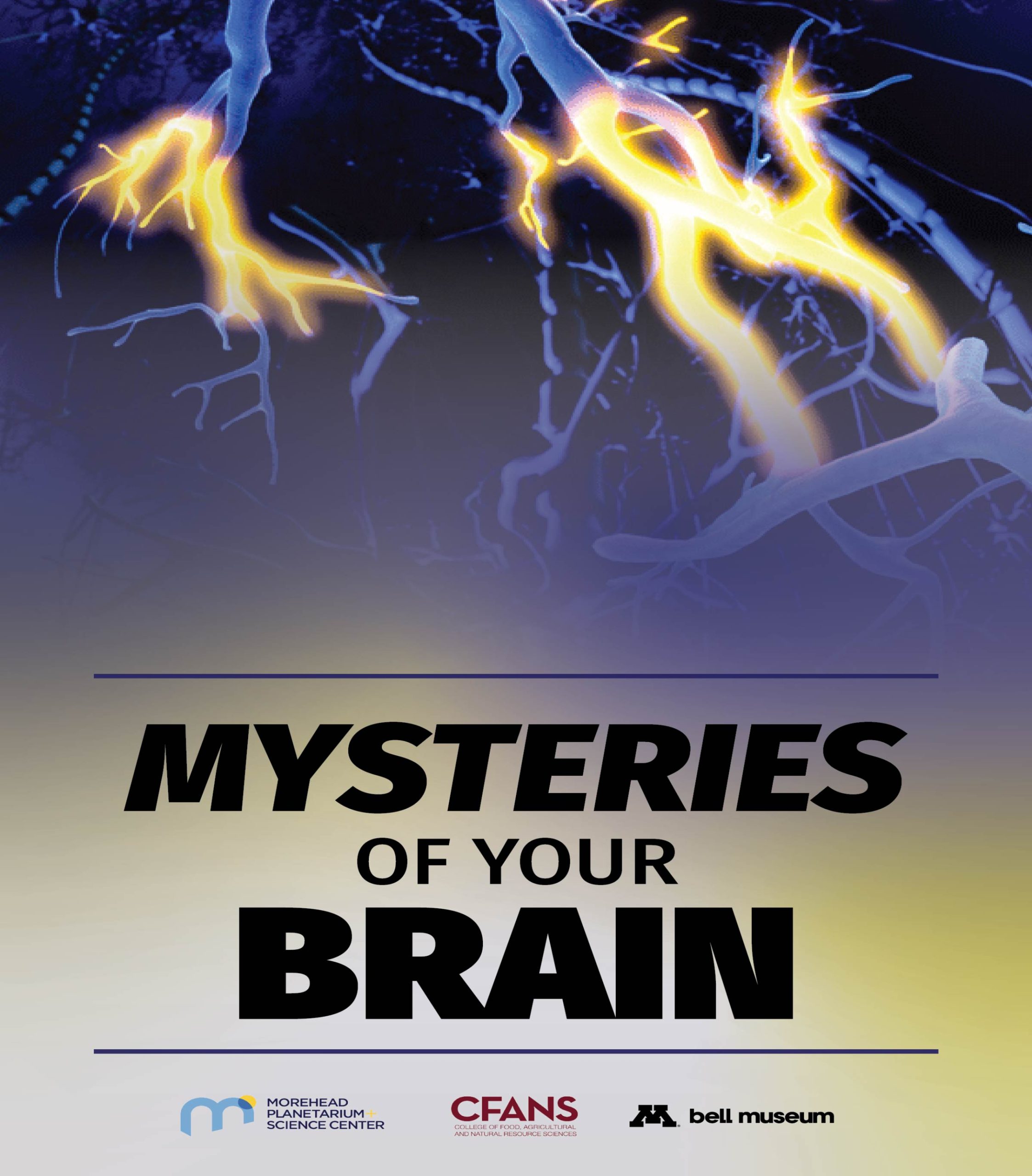 Mysteries of Your Brain