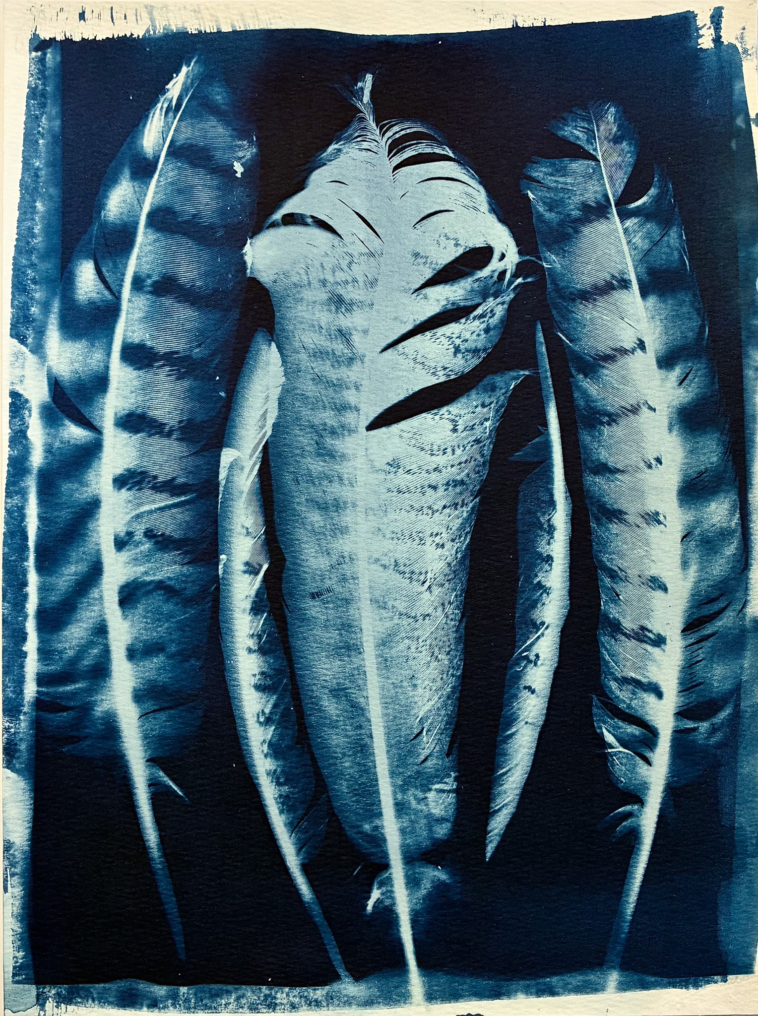An image of white feathers on a blue ground