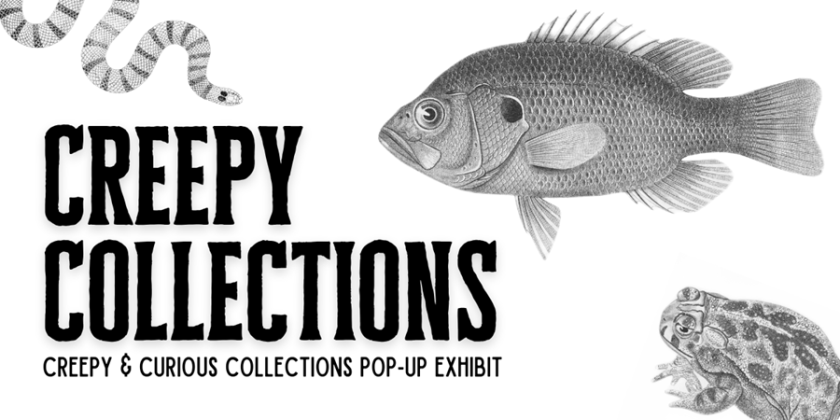 A black and white snack, fish, and frog surround text that reads "Creepy Collections: Creepy & Curious Collections Pop-Up Exhibit"