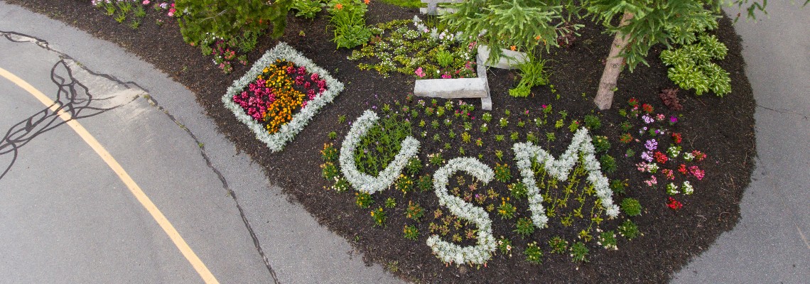 Flowers and plants arranged in the shapes of the letters USM