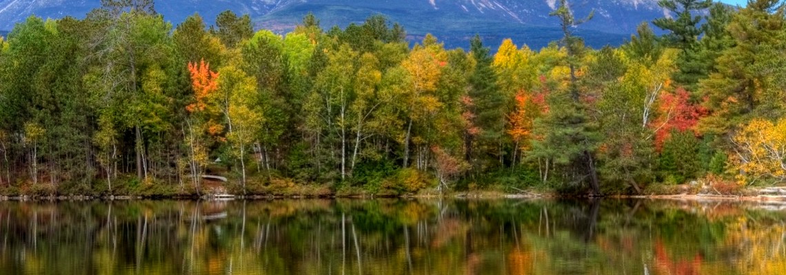 Lake and Forest in Fall