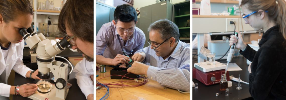 Three images (left to right): two people looking into a microscope, two people working on electronics, and a person inserting a liquid dropper into a vial