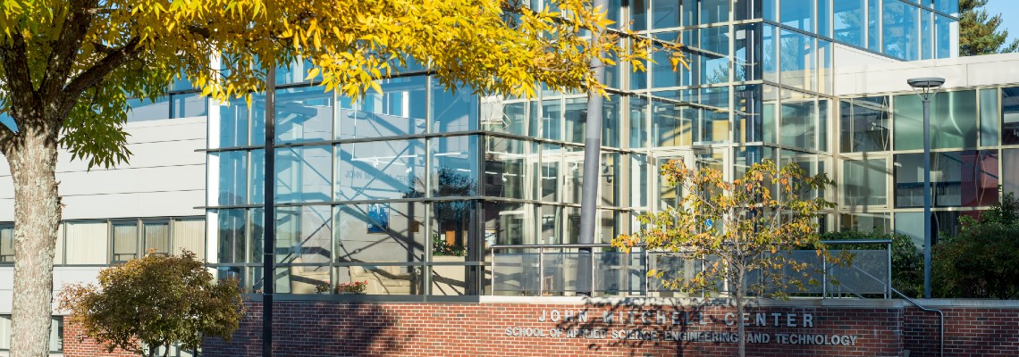 Yellow tree blossoms in front of a glass-front building with brick on the bottom.