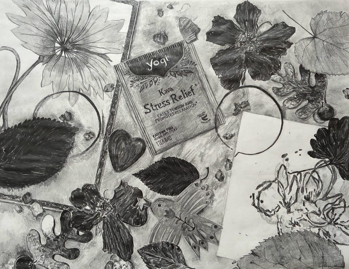 Drawing by Rosie Alleva