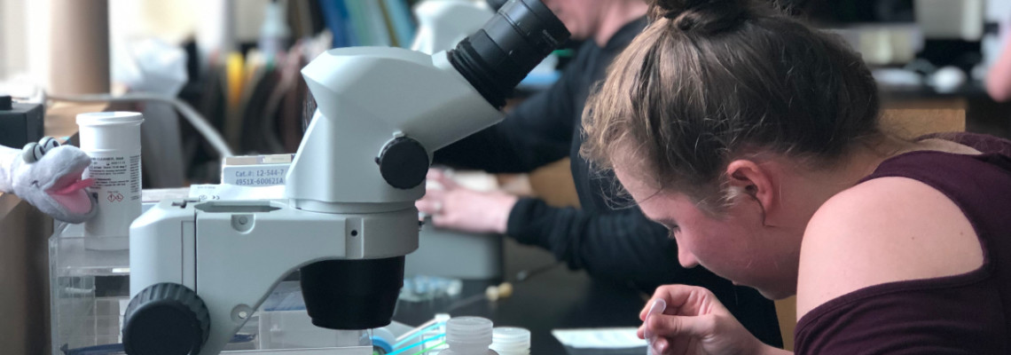 student working at microscope in lab