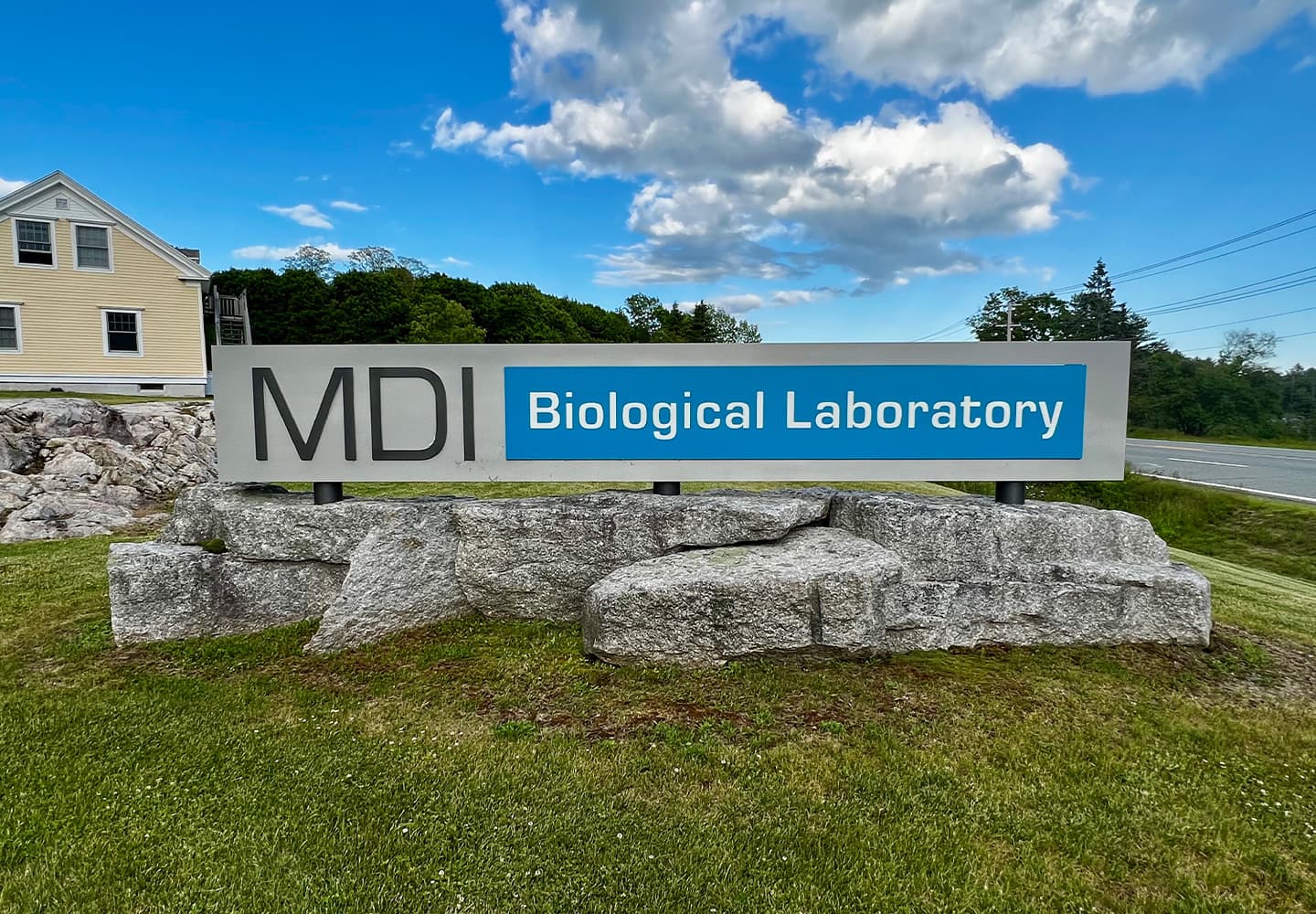 MDI Bio Lab