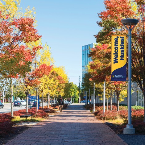 Brick walkway along Bedford Street with Fall foliage and "Welcome Huskies" banners