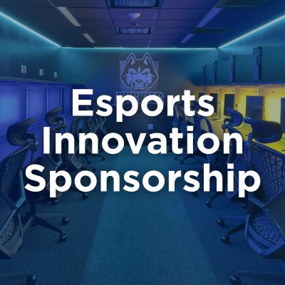 Esports Innovation Sponsorship