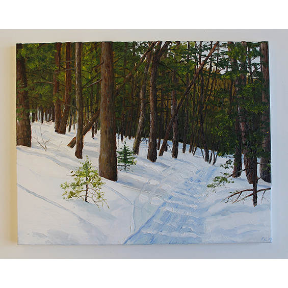 An image of a forest. There is snow on the ground a path leading to the left in the snow.