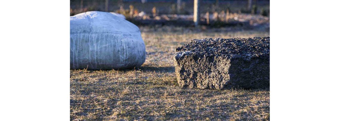 Two rocks sit next to each other on a grassy ground. The rock on the right is smooth and oval shaped, light grey in color. The rock on the left is rough and more rectangular, black and brown in color.