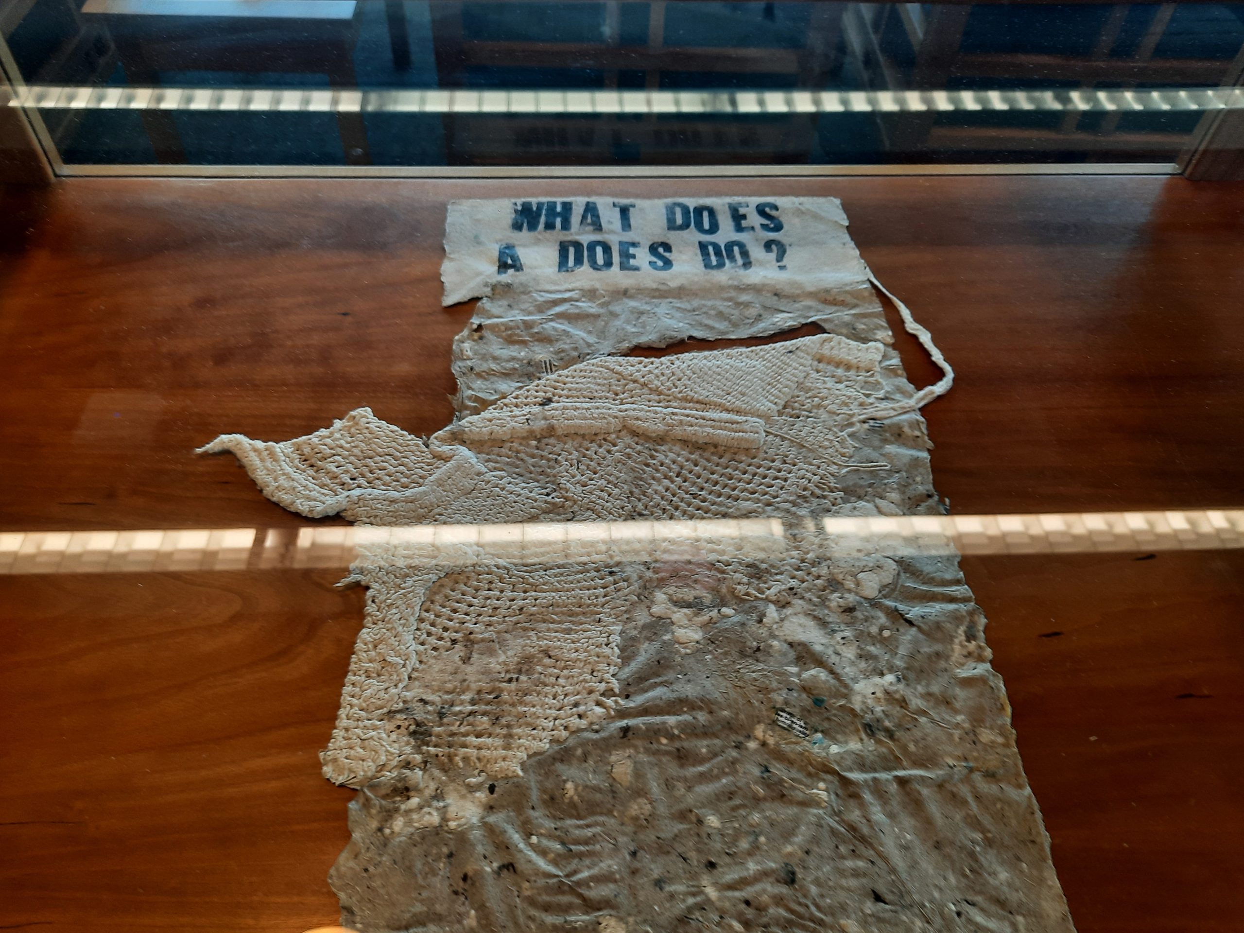 Jillian Bruschera, "What does a does do?" 2015. Letterpress on handmade paper with cloth, 19 ½ x 12 in. (unframed). Part of "Pulped Under Pressure," 2022. Glickman Family Library.