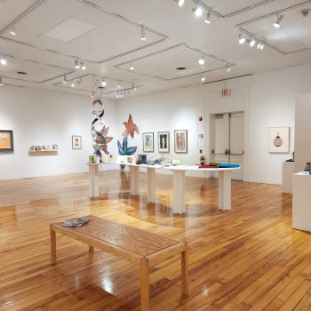 "Hidden Stories," Installation view, 2023. University of Southern Maine Art Gallery. Photo by Kat Zagaria Buckley.