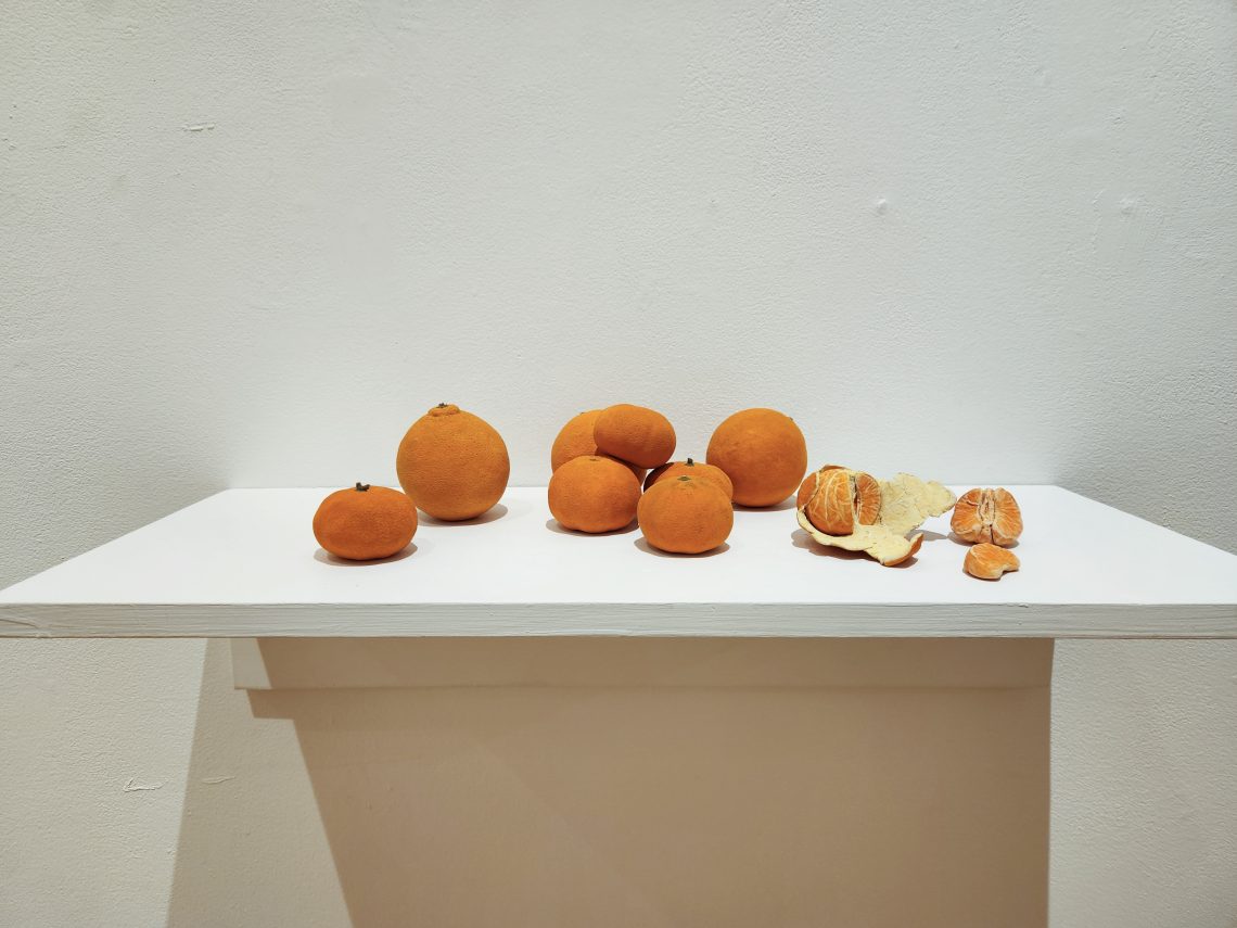 Rose DiMuzio "Accumulation, part of Marmalade series," 2023. 7 unpeeled orange/clementine sculptures; underglaze on stoneware 2 x 2 in. to 3 x 3 in.

"Revealed, part of Marmalade series," 2023. Single peeled clementine; underglaze on stoneware
3 x 2 in.  Part of the "2023 Bachelor of Fine Arts and Bachelor of Arts Exhibition," University of Southern Maine Art Gallery.